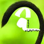 دُم / مرتضا کربلاییلو